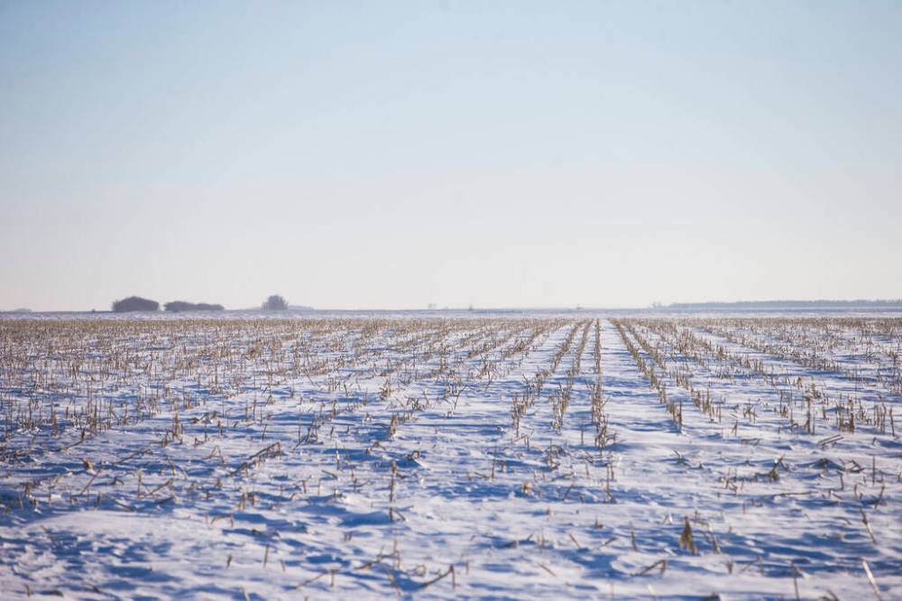 MIKAELA MACKENZIE / WINNIPEG FREE PRESS
Snowy fields near the Canada/U.S. border about 10km east of Emerson near where two adults, one teenager, and one infant were found deceased in the area.