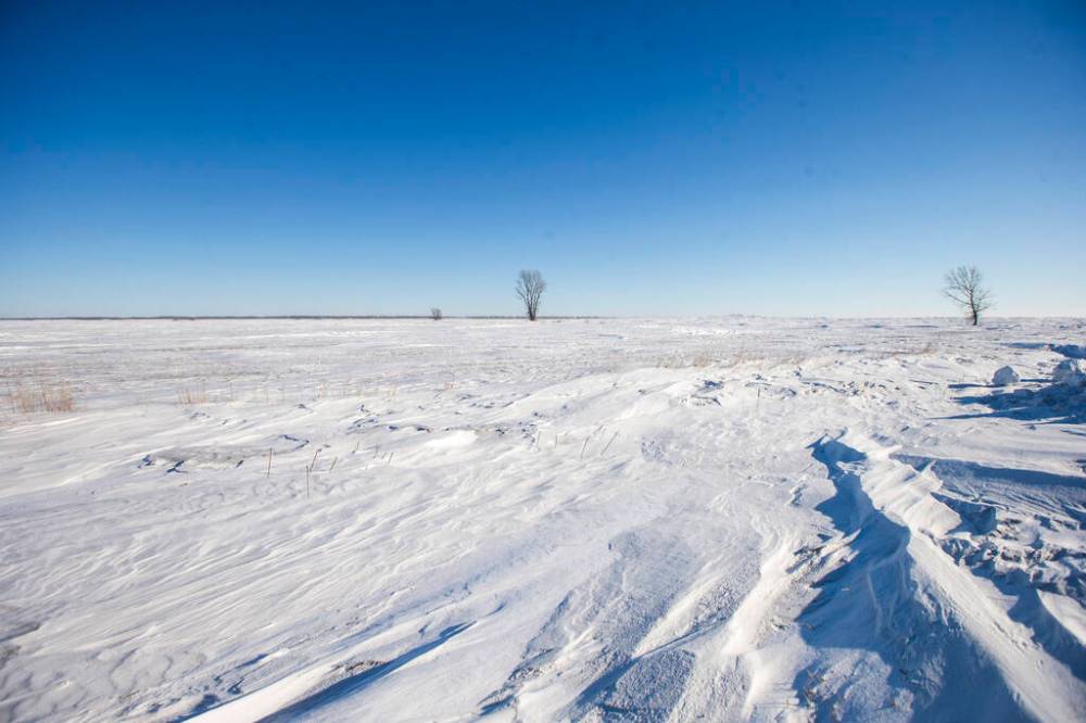 MIKAELA MACKENZIE / WINNIPEG FREE PRESS
Snowy fields near the Canada/US border about 10km east of Emerson on Thursday, Jan. 20, 2022. Two adults, one teenager, and one infant were found deceased in the area. For Chris Kitching story. Winnipeg Free Press 2022.
