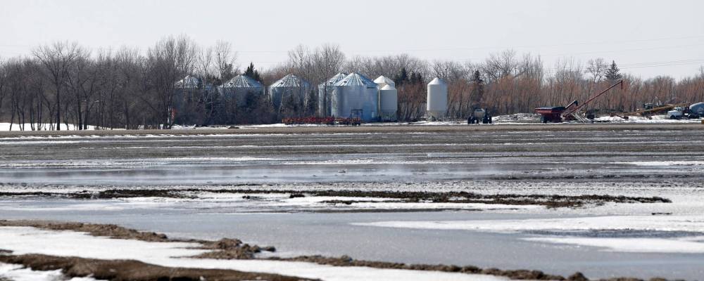 JOHN WOODS / WINNIPEG FREE PRESS
Wet fields just west of Morris Tuesday.