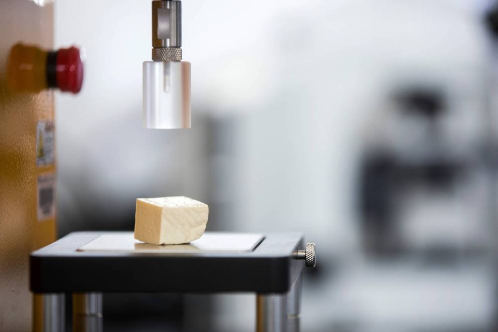 MIKAELA MACKENZIE / WINNIPEG FREE PRESS
Fava bean tofu sits in a texture-analyzing machine at Red River’s Prairie Research Kitchen.