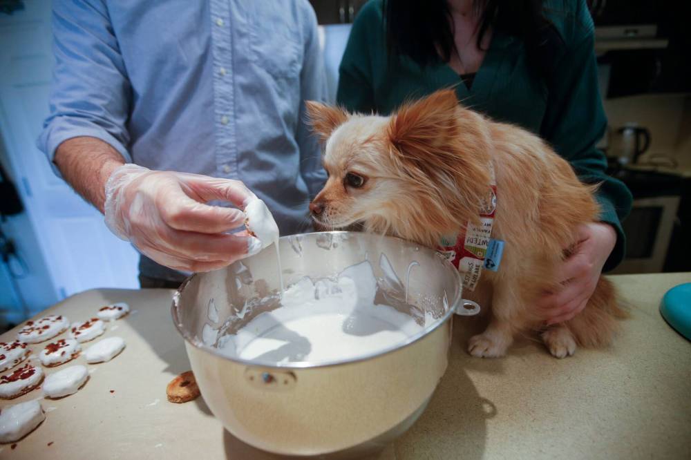 JOHN WOODS / WINNIPEG FREE PRESS CoCo supervises an order.