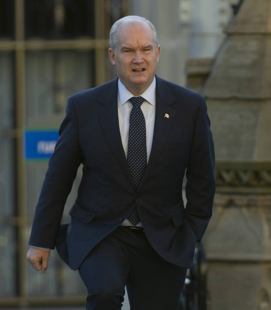 Conservative Party Leader Erin O’Toole. (Adtrian Wyld / The Canadian Press)
