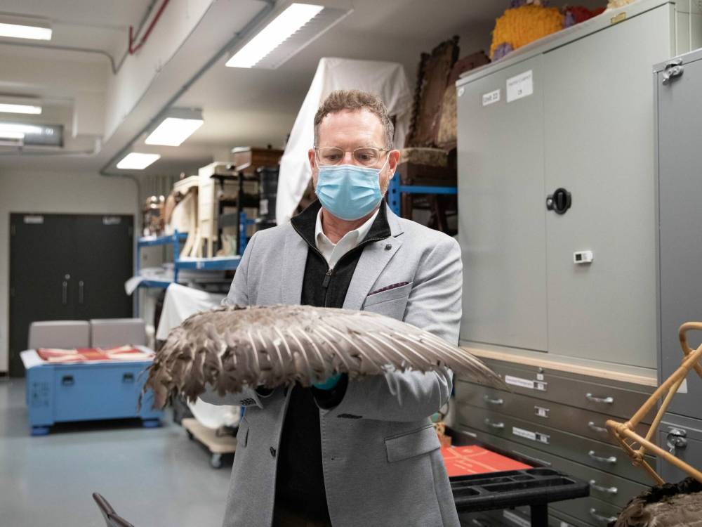 JESSICA LEE / WINNIPEG FREE PRESS
Dr. Roland Sawatzky holds a hunting device that was used to attract other birds in the Manitoba Museum archives.