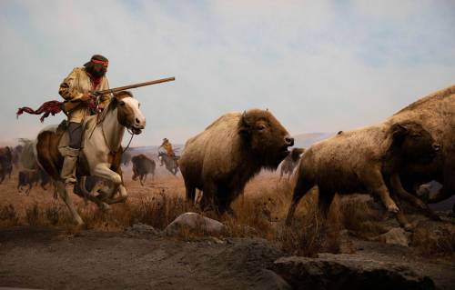 JESSICA LEE / WINNIPEG FREE PRESS
A scene at the Manitoba Museum depicting a bison hunt in the pre-colonial days.