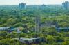 MIKAELA MACKENZIE / WINNIPEG FREE PRESS FILES
According to Trees Please Winnipeg coalition Winnipeg’s urban tree canopy is disappearing at an alarming rate.