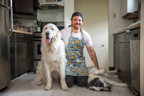 MIKAELA MACKENZIE / WINNIPEG FREE PRESS
John Rush with his dogs, Bon Homme (left), and Bailey; the former Blue Bomber fullback runs a vegan blog called Rescue Dog Kitchen.