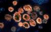 (The National Institute of Allergy and Infectious Diseases - Rocky Mountain Laboratories files)