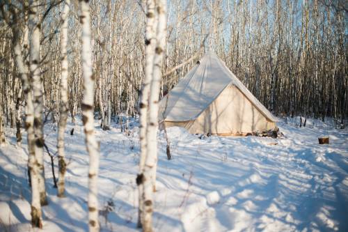 Boreal Plains has two canvas tents tucked into 10 acres of young poplars and spruce north of Gimli. (Alyssa Dueck)