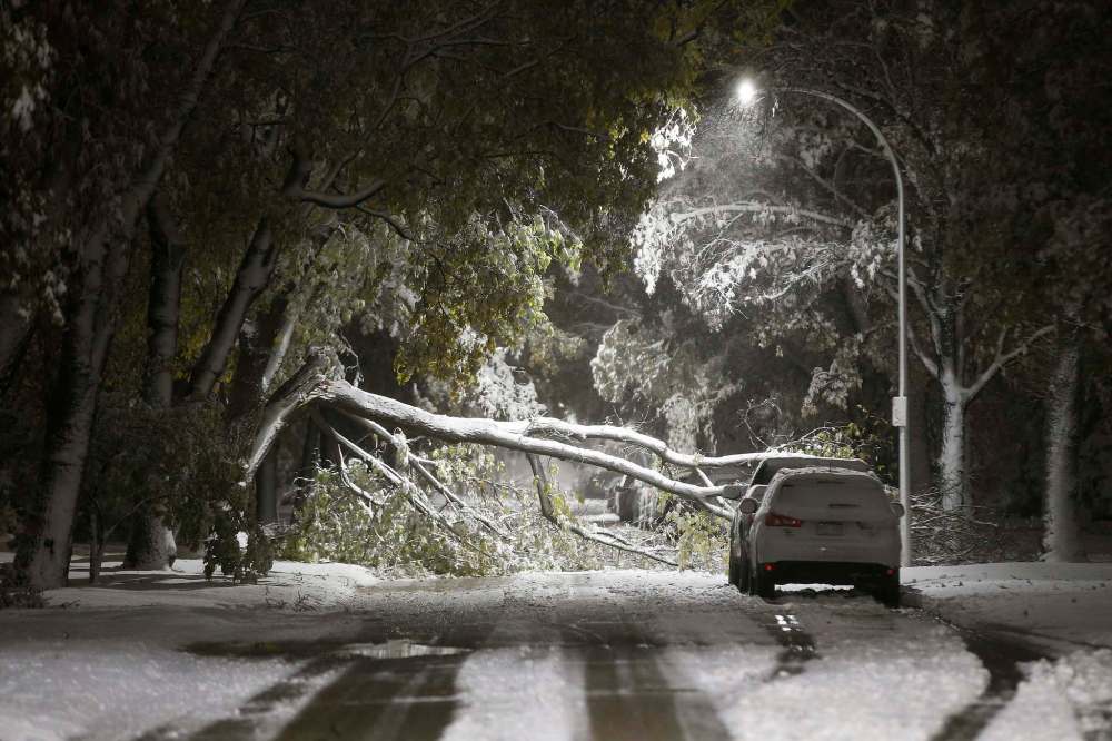 THE CANADIAN PRESS/John Woods
An early winter storm with heavy wet snow caused fallen trees, many on cars, and power lines in Winnipeg early Friday morning, October 11, 2019. A report presented to the city estimated cleanup and overtime costs from the storm would be about $10 million.