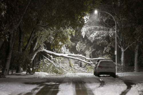 THE CANADIAN PRESS/John Woods
An early winter storm with heavy wet snow caused fallen trees, many on cars, and power lines in Winnipeg early Friday morning, October 11, 2019. A report presented to the city estimated cleanup and overtime costs from the storm would be about $10 million.
