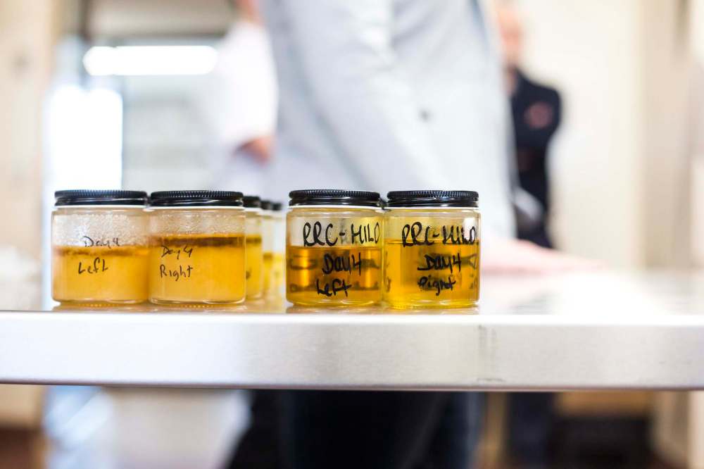 RRC’s Culinary Research and Innovation Centre in Winnipeg on Tuesday, Jan. 14, 2020. For Martin Cash story. Winnipeg Free Press 2019. (Mikaela MacKenzie / Winnipeg Free Press)