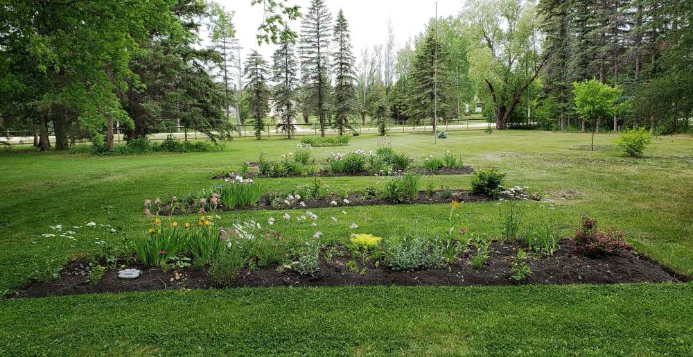 Earl Stafford
The 120 cm width of these linear flower beds make them easy to manage.