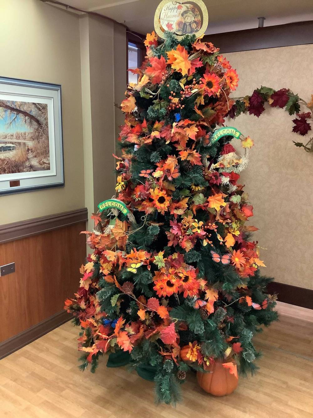 SUPPLIEDThe tree on Thanksgiving.