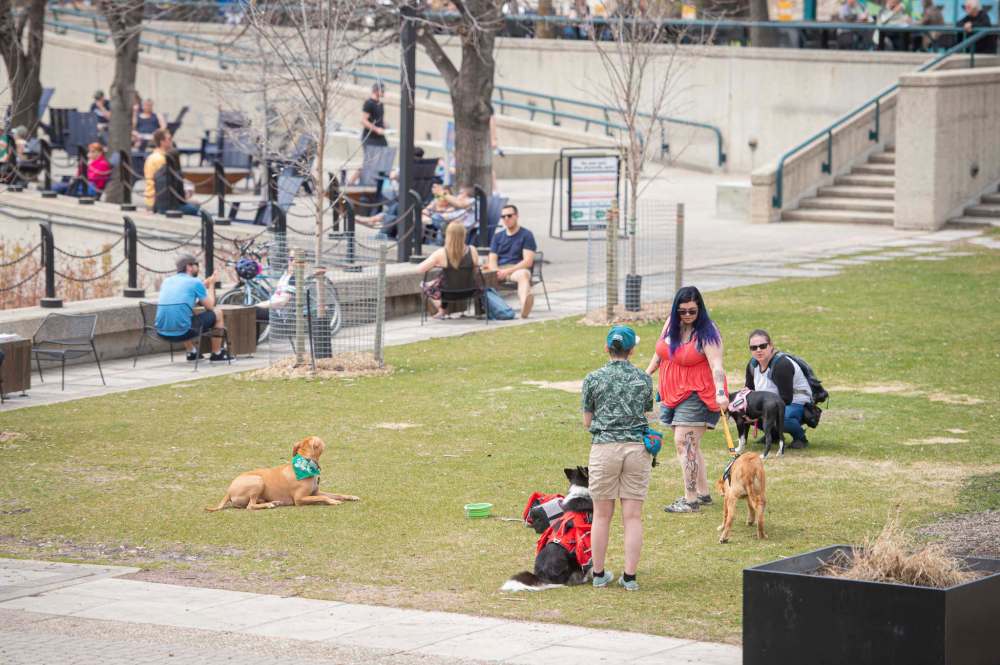 Mike Sudoma / Winnipeg Free Press
Winnipeggers enjoy the outdoors at The Forks last weekend.
