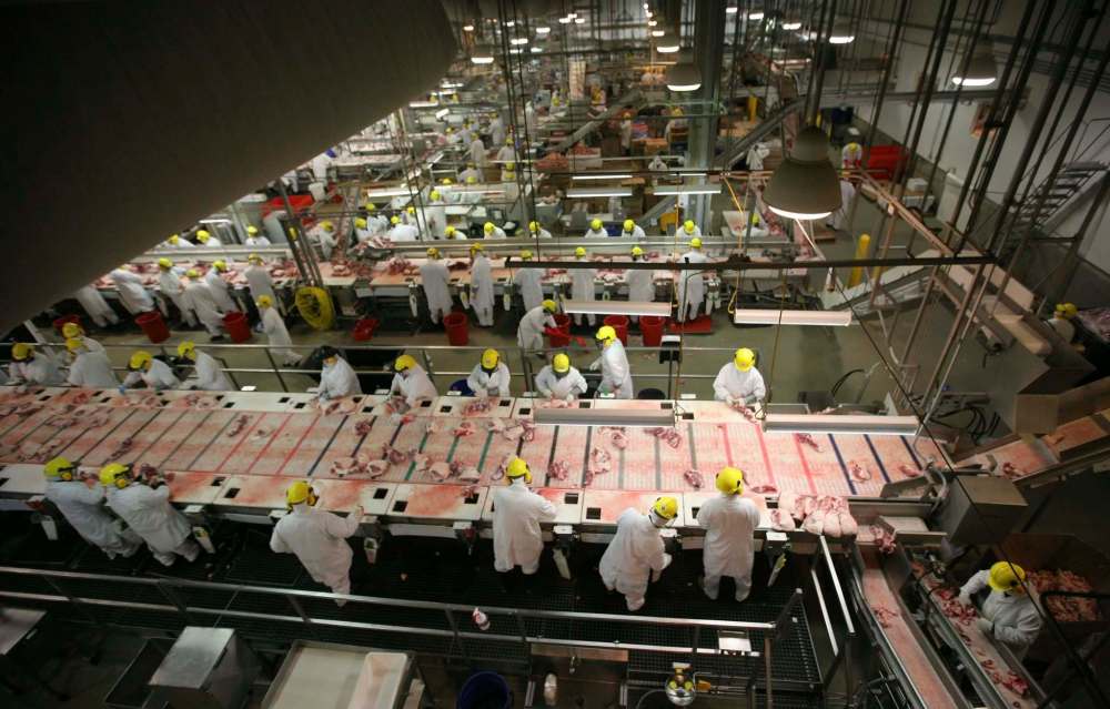 The Maple Leaf hog processing plant cutting floor is seen in a 2009 photo. (Bruce Bumstead / Brandon Sun files)