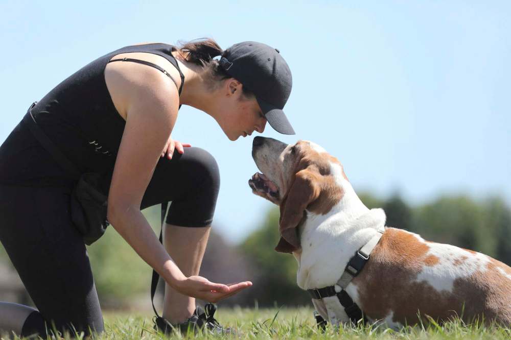 RUTH BONNEVILLE / WINNIPEG FREE PRESS
Leesa Westwood co-owner of Pliant Pack Positive Dog Training teaches one of her dogs, Otis, at Riccardo De Thomasis Park Monday.