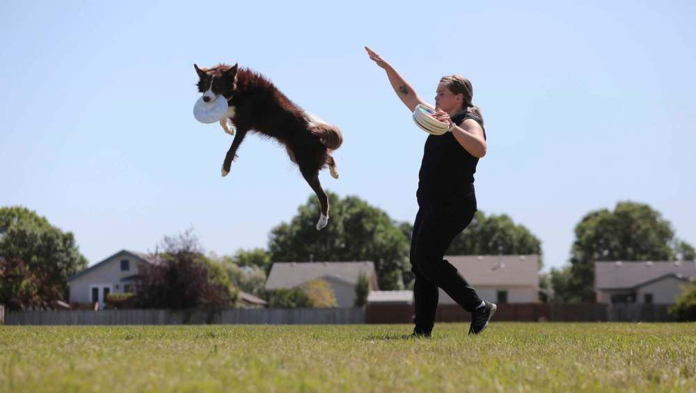 RUTH BONNEVILLE / WINNIPEG FREE PRESS
Lowes with her dog, Fidget, a border collie, doing tricks at Riccardo De Thomasis Park.