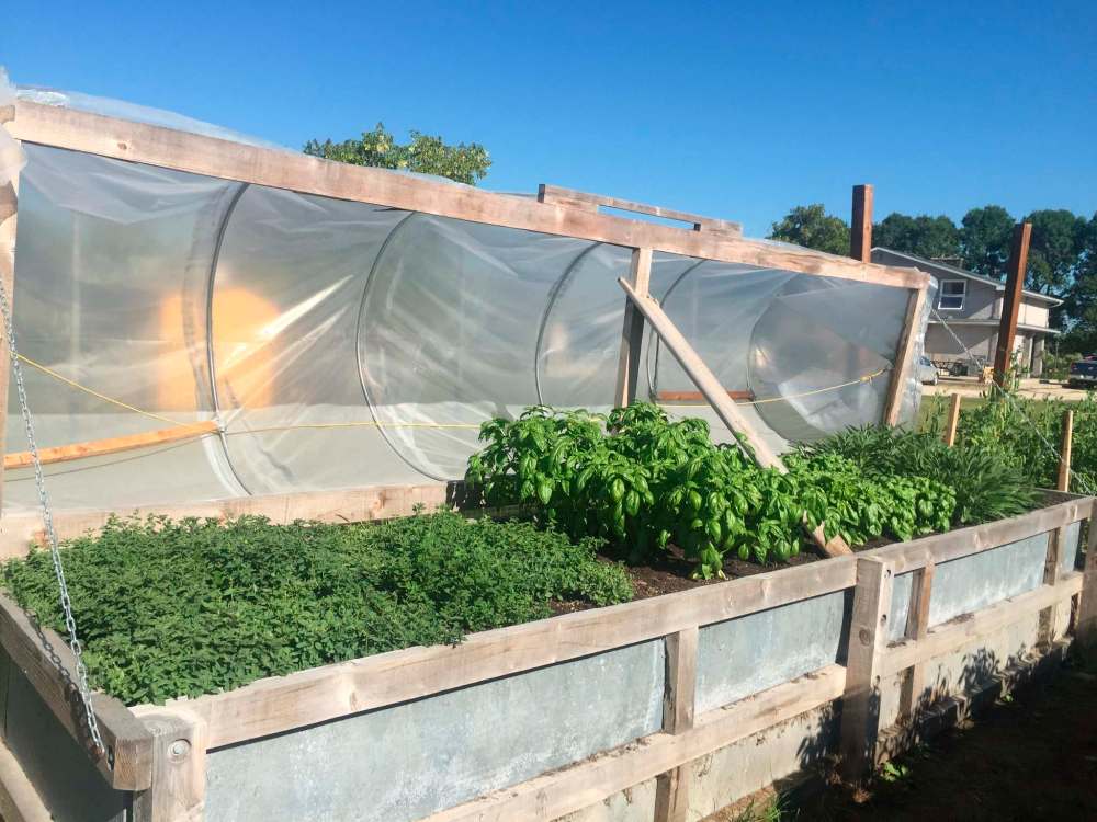 A raised bed with a lid extends the growing season.