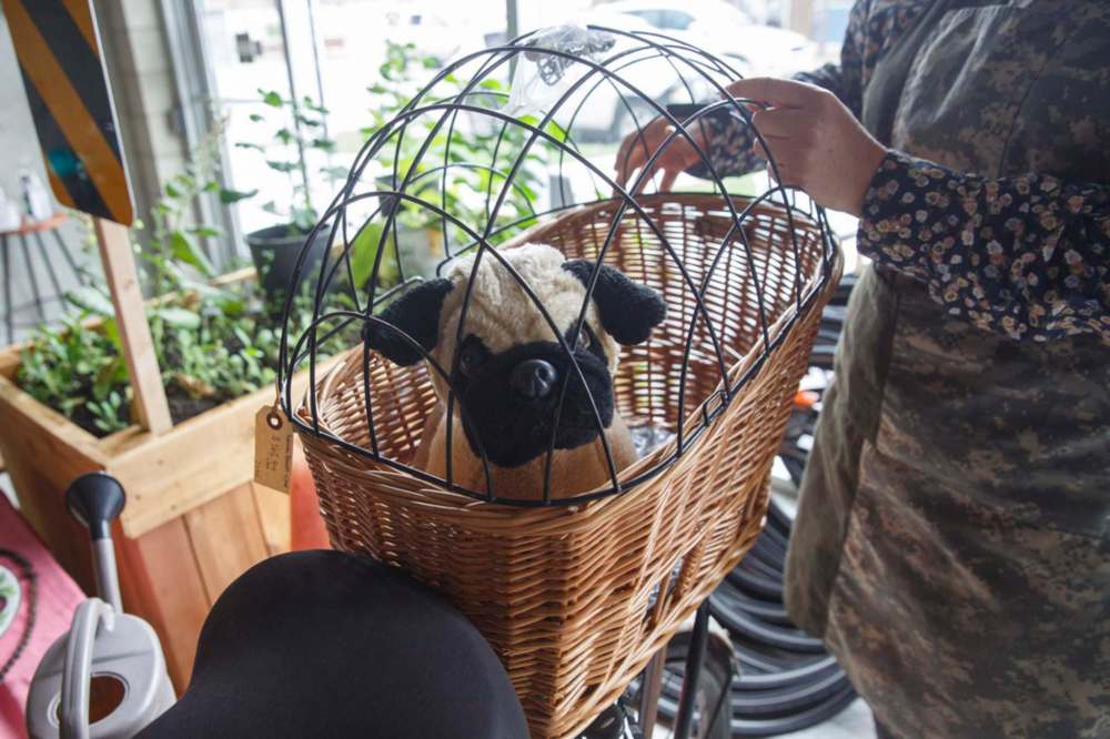 The store sells various cycling accessories, including a pet basket and cage. (Mike Deal / Winnipeg Free Press)