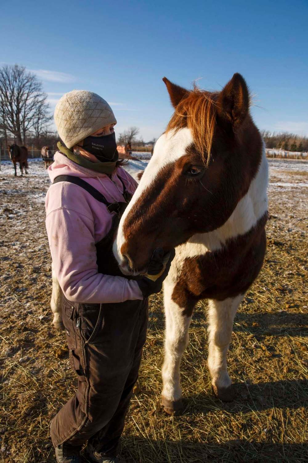 MIKE DEAL / WINNIPEG FREE PRESS
Gwen Donohoe, the owner of Sagehill Stables, has put out a call for people to help cover the cost of caring for 17 lesson horses while programming is cancelled.