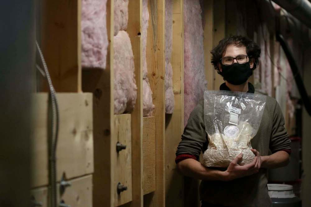 By day, Tom Nagy is a full-time brewer at Barnhammer Brewing. In his spare time, he’s the proprietor of River City Mushrooms, selling mushroom-growing kits to budding mycologists. (Shannon VanRaes / Winnipeg Free Press)
