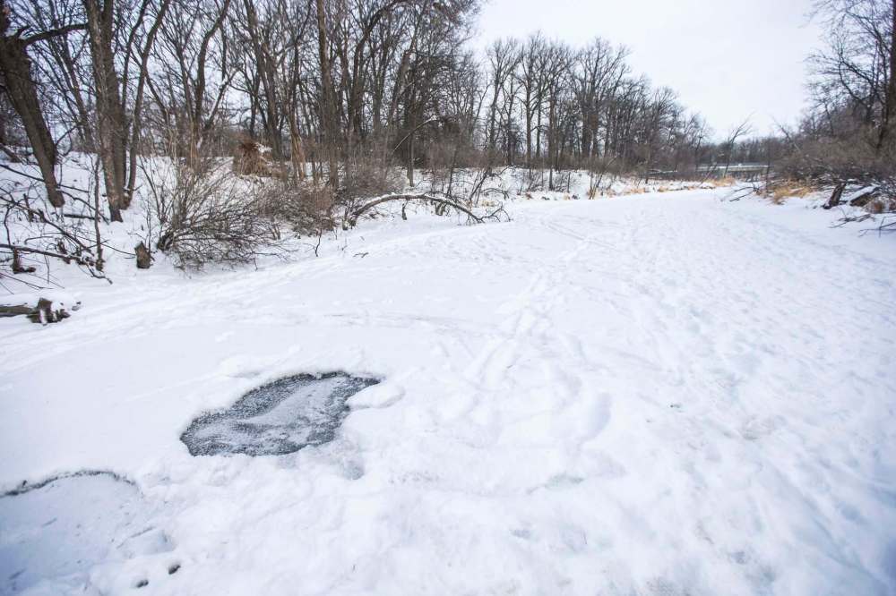 One of a few spots where it appears the ice has fallen in and re-frozen just south of John Bruce Park on the Seine River on Monday. (Mikaela MacKenzie / Winnipeg Free Press)