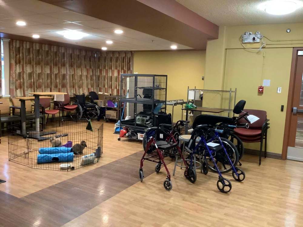 SUPPLIED
- The usually active recreation room at The Convalescent Home of Winnipeg... complete with two rabbits (Jessica and Hugo).