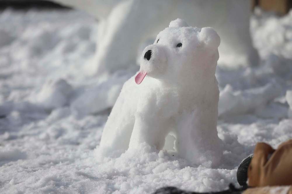 RUTH BONNEVILLE / WINNIPEG FREE PRESS
Bennett says that with planning, creating a snow bear is just as simple as making a snowman.