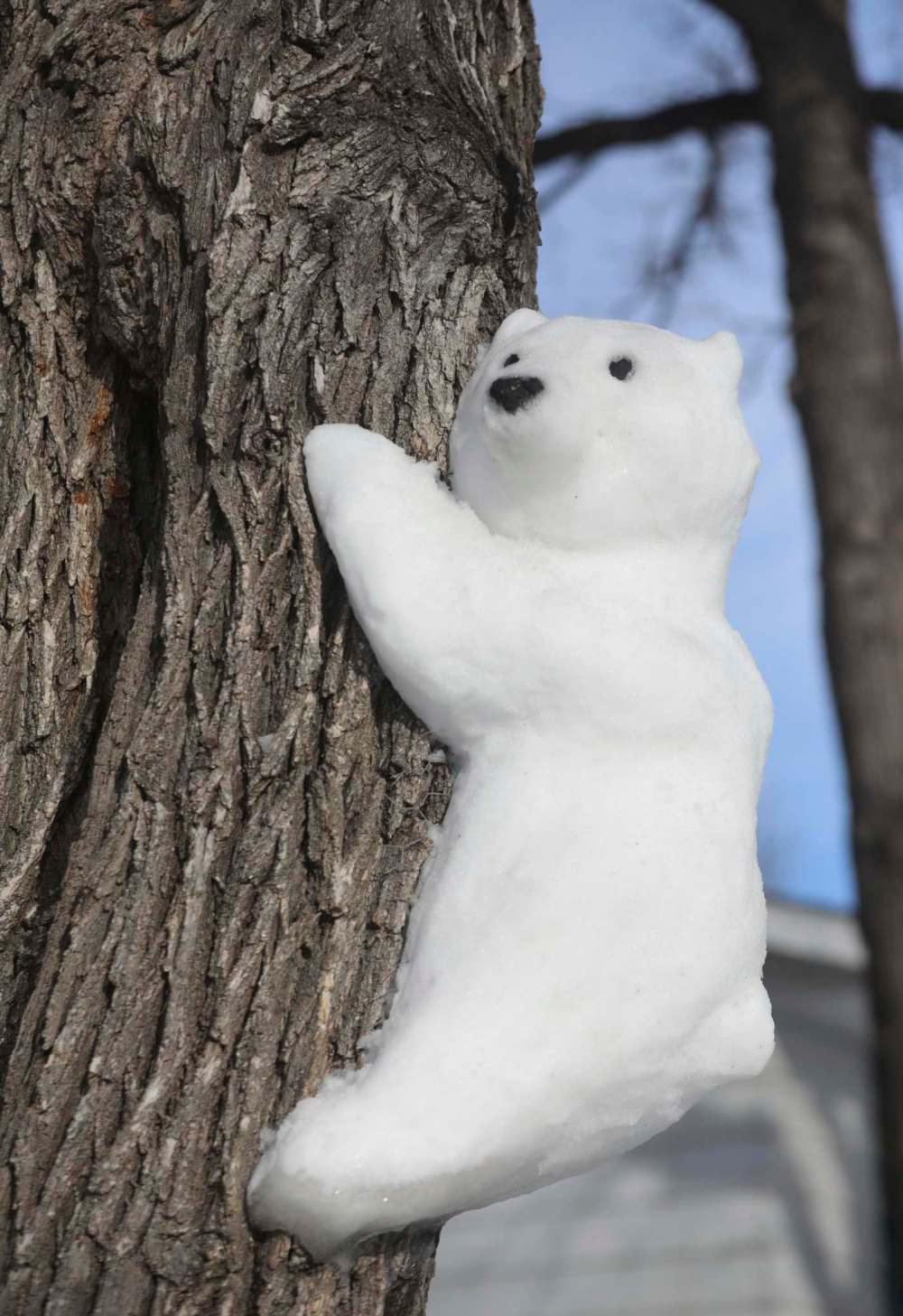 RUTH BONNEVILLE / WINNIPEG FREE PRESS
Bennett has turned her Barrington Avenue front yard into a polar bear playground.
