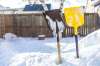 MIKAELA MACKENZIE / WINNIPEG FREE PRESS
Gordon Giesbrecht, a former wilderness instructor, and a professor of cold physiology, shows some shovel options for making a quinzee in his back yard in Winnipeg on Wednesday, Jan. 13, 2021. For Ben Waldman story.
Winnipeg Free Press 2021