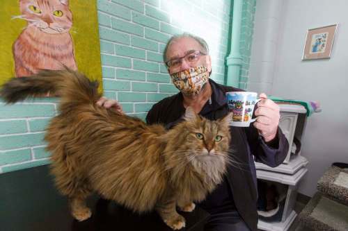 MIKE DEAL / WINNIPEG FREE PRESS
D&rsquo;Arcy Johnston, with Beatrice Arthur in the cat room at Annie&rsquo;s Attic, opened the new cat café/thrift shop to raise funds for D&rsquo;Arcy&rsquo;s Animal Rescue Centre.