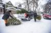 MIKAELA MACKENZIE / WINNIPEG FREE PRESS Mark Dewar (left) and Jake Wolfe toss Christmas trees into a pickup to take down to the river, where they will help shelter areas at the Wolseley Winter Wonderland community skating path in Winnipeg on Tuesday, Jan. 4, 2022. Standup. Winnipeg Free Press 2021.