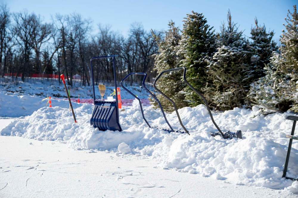 MIKE SUDOMA / WINNIPEG FREE PRESS
Shovels sit in a snowbank for anyone who wants to help clear the Assiniboine River trail Sunday
January 24, 2021