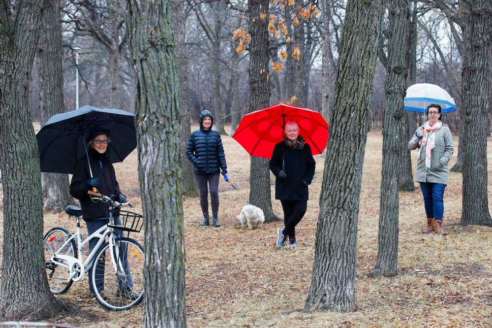 From left: Jean Altemeyer, Roxana Mazur, Erna Buffie and Emma Durand-Wood from Trees Please Winnipeg are concerned that diseased trees being cut down in the city are not being replaced, leaving only stumps behind. (John Woods / Winnipeg Free Press)