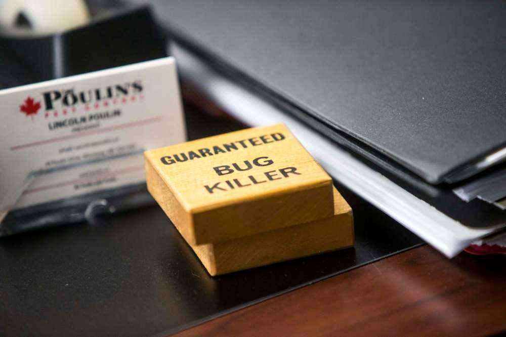Even Lincoln’s office is prepared for any six-legged eventuality. (Mikaela MacKenzie / Winnipeg Free Press)