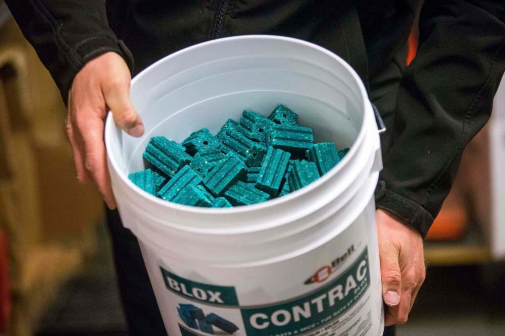 Rat poison often comes in handy in the exterminator industry. (Mikaela MacKenzie / Winnipeg Free Press)