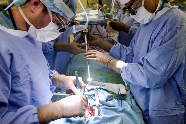 FILE - In this Tuesday, Jan. 23, 2018 file photo, a surgeon directs a special camera to be able to view his patient's cancer tumor on monitors while performing surgery at a hospital in Philadelphia. As the COVID-19 coronavirus spreads, many cancer surgeries are being delayed, stent procedures for clogged arteries have been pushed back and infertility specialists were asked to postpone helping patients get pregnant. In March 2020, doctors in virtually every field are scrambling to alter care. (AP Photo/Matt Rourke)
