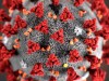 In this illustration provided by the Centers for Disease Control and Prevention (CDC) in January 2020 shows the 2019 Novel Coronavirus (2019-nCoV). This virus was identified as the cause of an outbreak of respiratory illness first detected in Wuhan, China. THE CANADIAN PRESS/CDC via AP, File