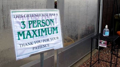 In this Monday, April 27, 2020, photo, with a bottle of hand sanitizer in the background, a sign limits the number of shoppers in the greenhouse of Evergreen Gardens of Vermont in Waterbury Center, Vt. Monday was the the first day businesses such as greenhouses and garden centers could allow a small number of customers inside as part of Vermont's gradual coronavirus pandemic reopening plan. (AP Photo/Wilson Ring)