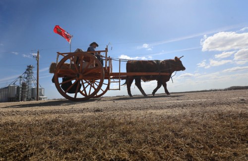 RUTH BONNEVILLE / WINNIPEG FREE PRESS