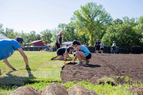 True North Sports+Entertainment employees assist laying sod at Camp Manitou.