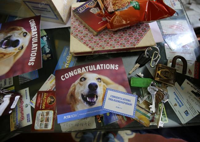 Congratulatory cards sent with boxes of packaged food and sweets by a non-government organization to be distributed among villagers lie at the desk of a Hindu temple official ahead of the inauguration of U.S. Vice President-elect Kamala Harris, in Thulasendrapuram, the hometown of Harris' maternal grandfather, south of Chennai, Tamil Nadu state, India, Tuesday, Jan. 19, 2021. The inauguration of President-elect Joe Biden and Vice President-elect Kamala Harris is scheduled be held Wednesday. (AP Photo/Aijaz Rahi)