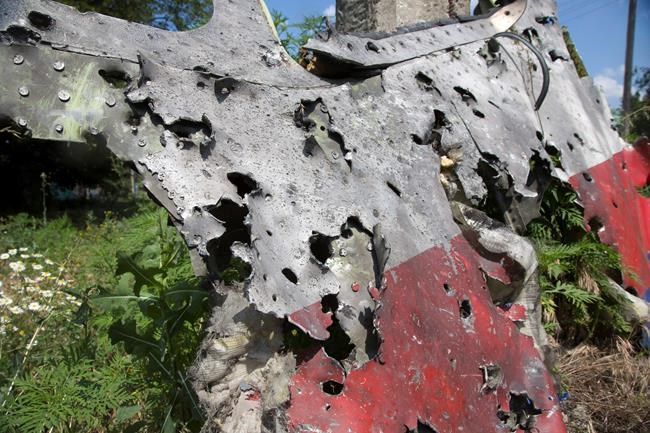 FILE - In this Wednesday, July 23, 2014 file photo, a piece of the crashed Malaysia Airlines Flight 17 lies in the village of Petropavlivka, Donetsk region, eastern Ukraine. The crash of a Ukrainian jetliner near Tehran this week that killed all 176 on board comes as a test for Ukraine's President Volodymyr Zelenskiy, who took office less than eight months ago with no prior political experience. (AP Photo/Dmitry Lovetsky, File)