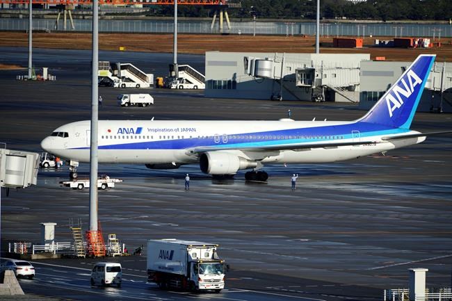 A Japanese chartered plane carrying evacuees from Wuhan, China, landed at Haneda international airport in Tokyo Wednesday, Jan. 29, 2020, in Tokyo. (AP Photo/Eugene Hoshiko)