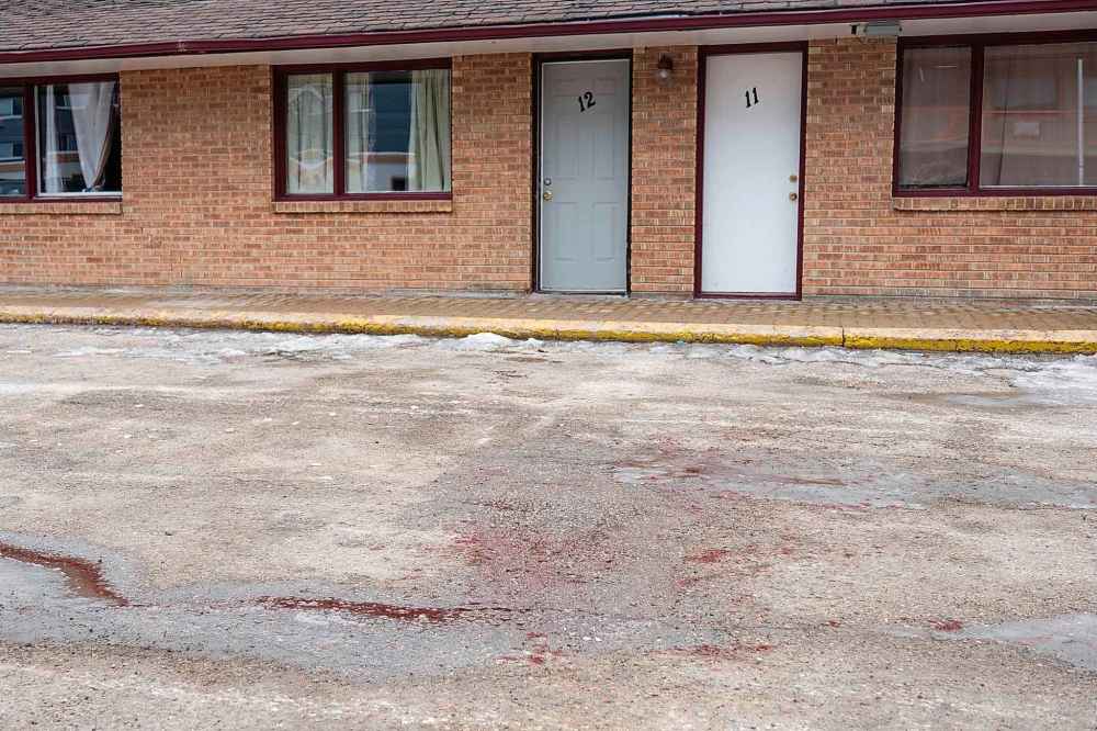 Blood stains the parking lot of the Capri Motel on Pembina Highway where a violent dog attack occurred early Saturday morning. (Daniel Crump / Winnipeg Free Press)