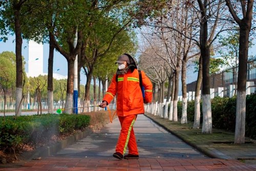 A worker wearing a face mask sprays disinfectant along a path in Wuhan in central China's Hubei Province, Tuesday, Jan. 28, 2020. China's death toll from a new viral disease that is causing global concern rose by 25 to at least 106 on Tuesday as the United States and other governments prepared to fly their citizens out of the locked-down city at center of the outbreak. (AP Photo/Arek Rataj)
