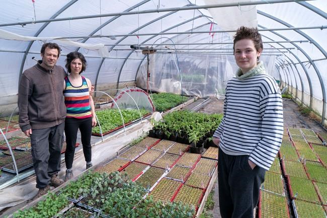 Farm owners Francois Daoust and Melina Plante, left, are seen in their greenhouse with summer employee Florence Lachapelle in Havelock, Que., on Thursday, April 23, 2020. THE CANADIAN PRESS/Paul Chiasson