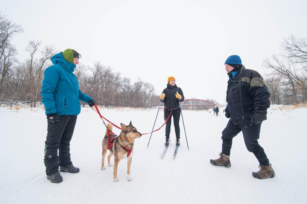 Winnipeg Free Press reporter Eva Wasney and her pup Quinn get instructions from Lorne Volk (right) and Susie Strachan (left) of Snowmotion Skijoring Club. (Mike Sudoma / Winnipeg Free Pres)