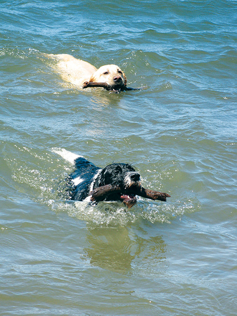 CHRIS ELIASSON
Noah (top) and Lily lovin’ the lake.
