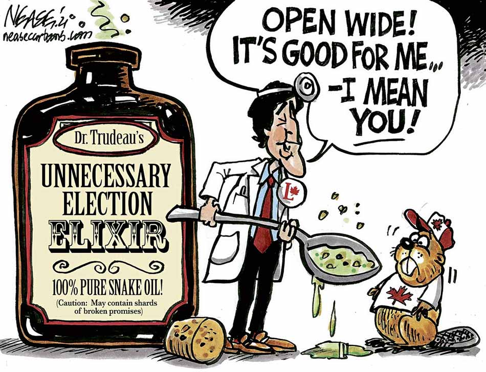 Prime Minister Justin Trudeau calls an election barely two years after the last one, seeking a majority government. (Steve Nease)